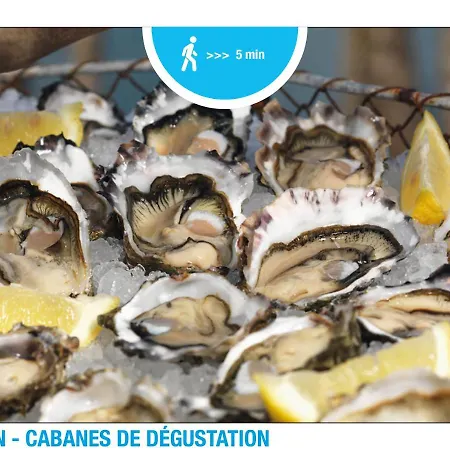 - 6 Pers. Terrasse * לנטון